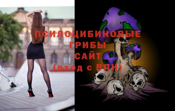 дживик Заволжск