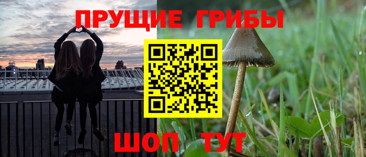 Галлюциногенные грибы прущие грибы  Псилоцибиновые грибы Psilocybe  Знаменск  Вход с VPN 